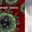 Птичий грипп - опасное вирусное заболевание - Бердюжье Медиа