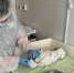 Патологий у новорожденных не выявлено - Бердюжье Медиа