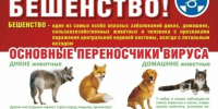 Внимание, бешенство - Бердюжье Медиа