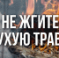 Не жги сухую траву - Бердюжье Медиа